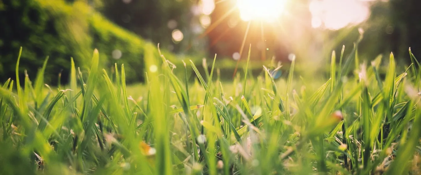 Maak je tuin klaar voor de lente in 7 stappen
