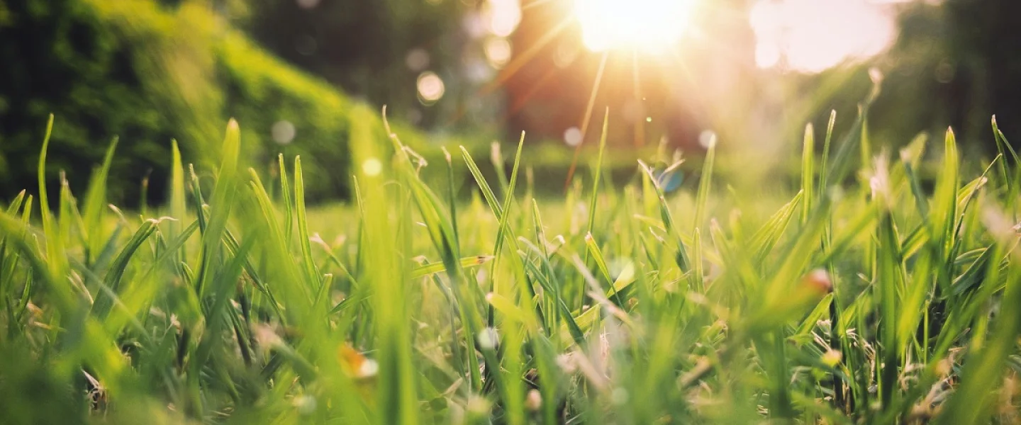 Maak je tuin klaar voor de lente in 7 stappen