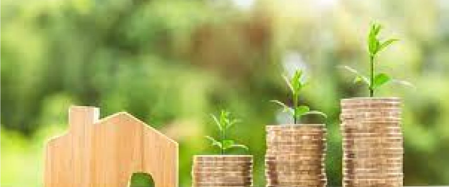 Make your House more sustainable and your Mortgage