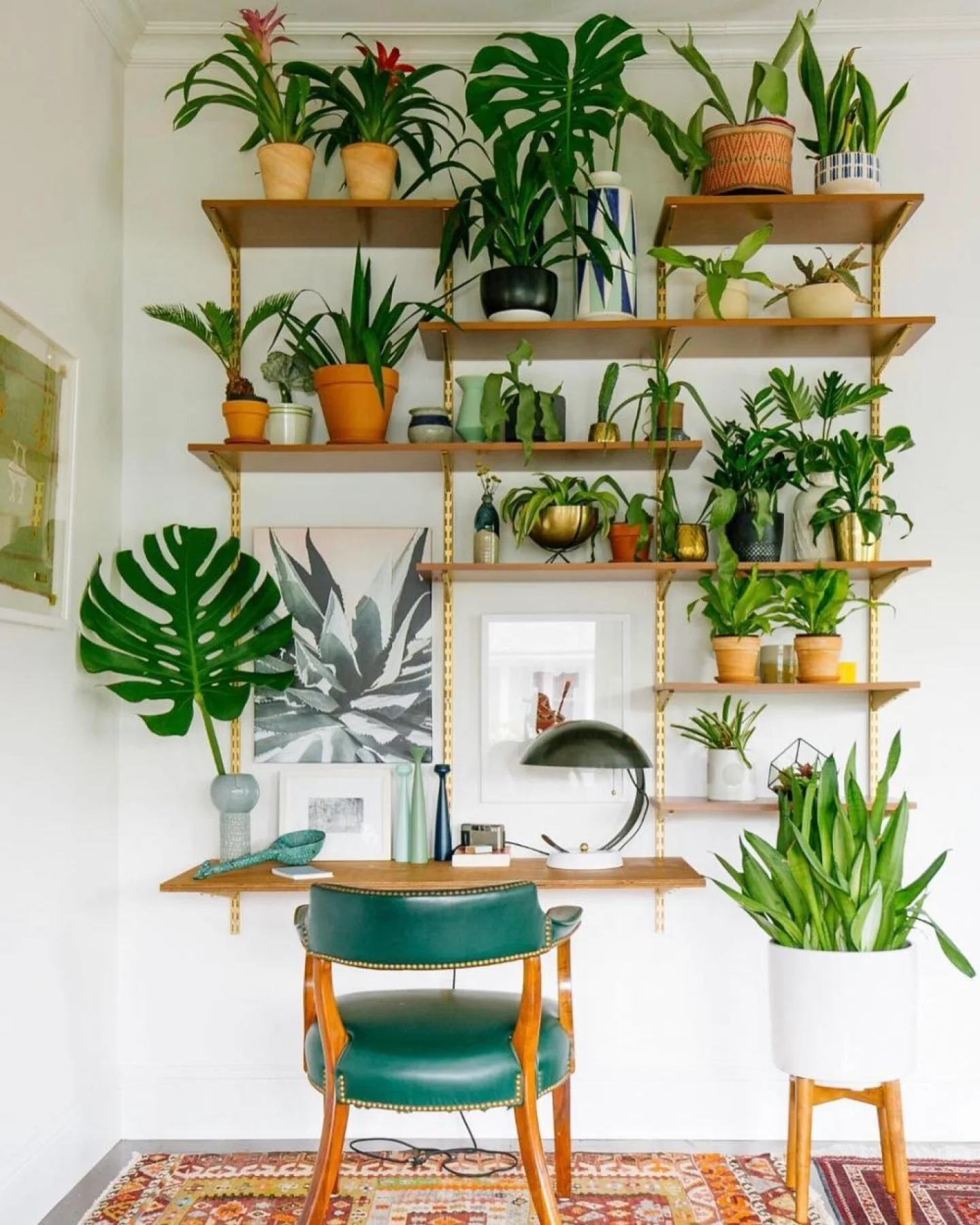 Plantenplek thuiswerken