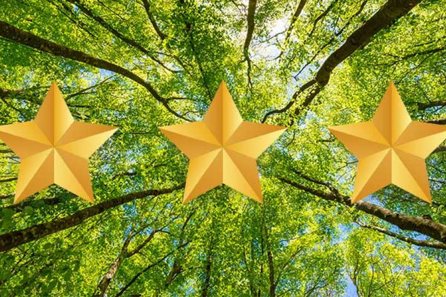 Ranking the Stars: Volksbank, a.s.r. en Triodos scoren hoog op het maatschappelijke vlak