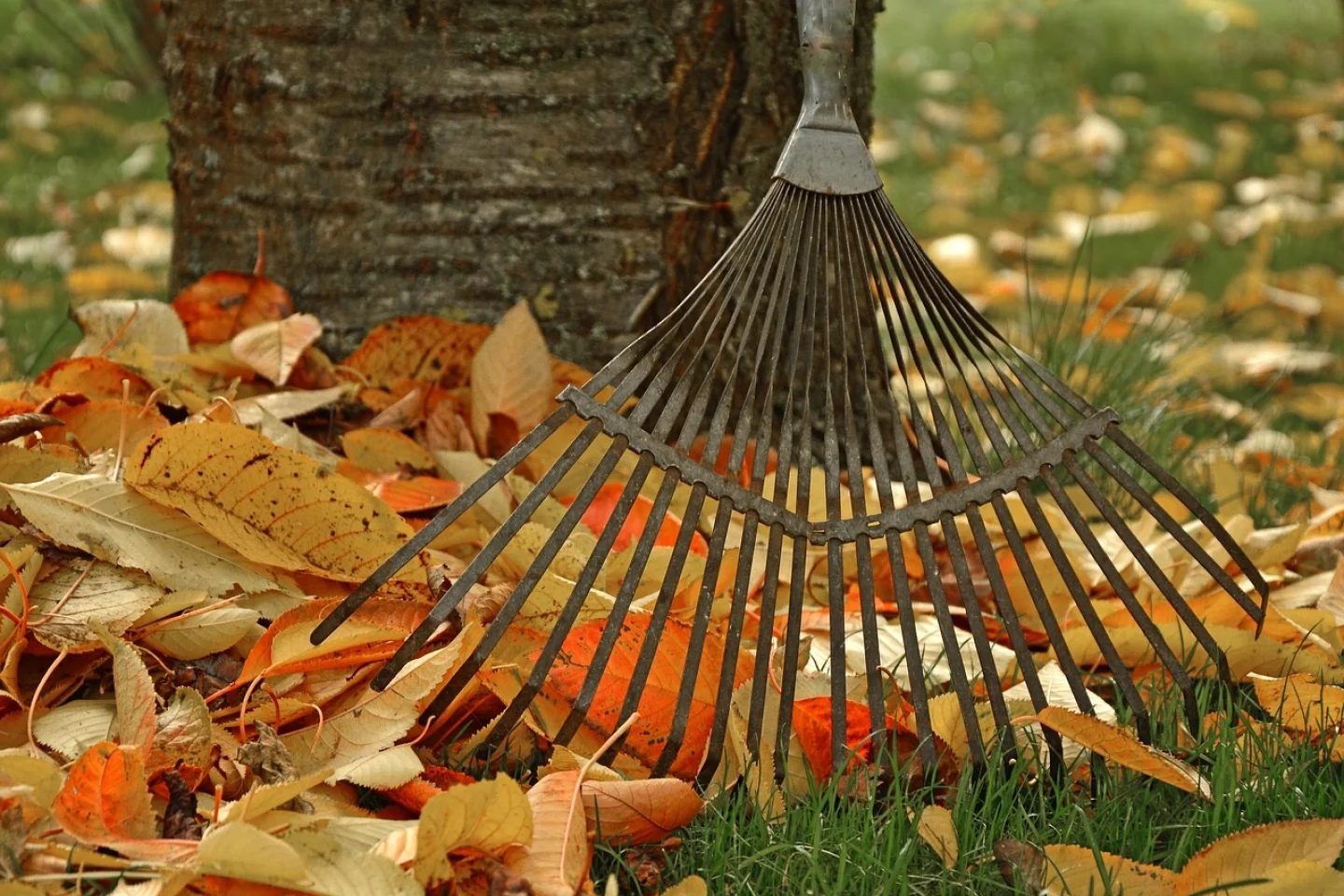 tuin winterklaar maken
