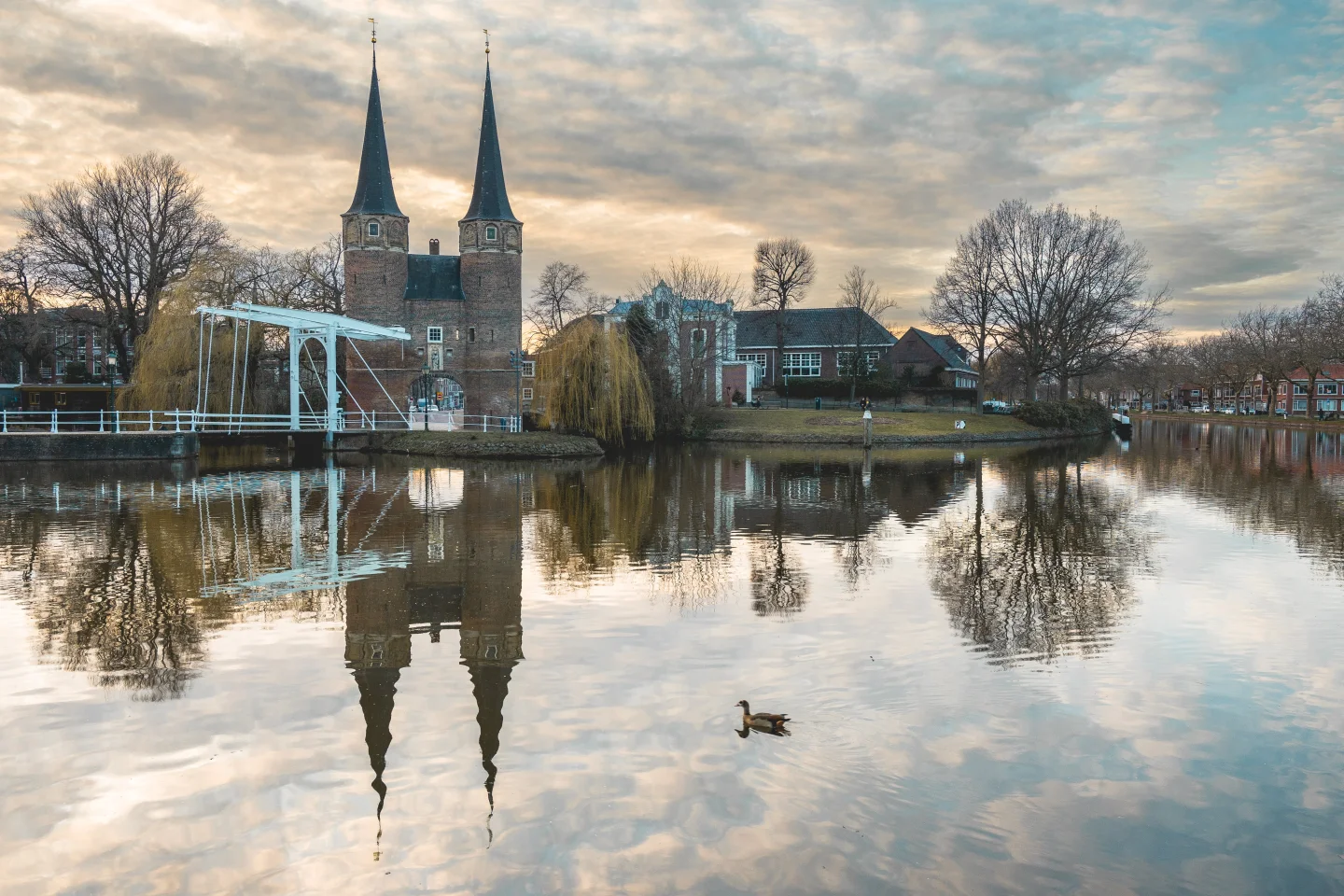 renteontwikkelingen november 2023