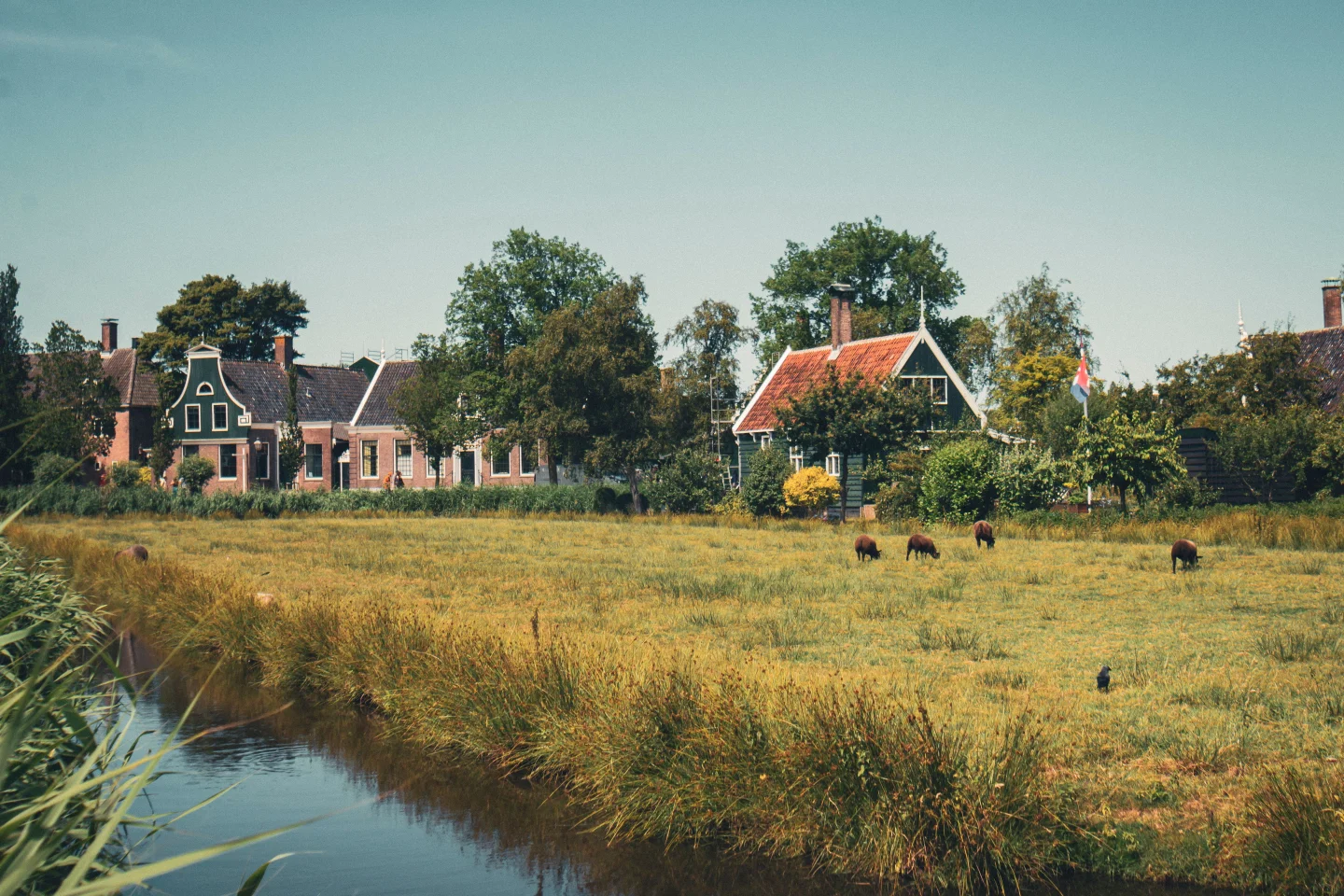 nederlandse zomer